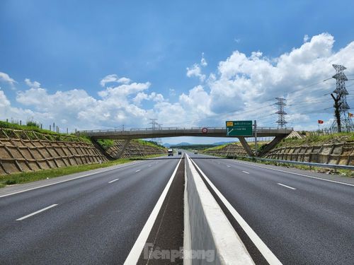 Ban Quản lý dự án Thăng Long là chủ đầu tư cao tốc Phan Thiết - Dầu Giây.