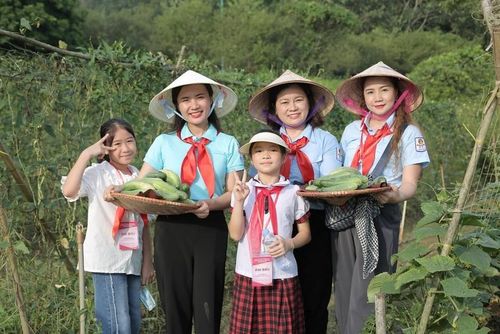 Trải nghiệm hái dưa chuột ngay tại vườn.