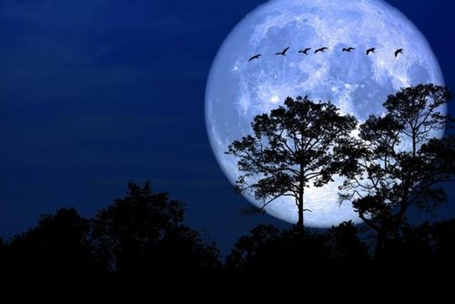 Đây là siêu Trăng thứ hai trong năm, với Mặt Trăng đến gần Trái Đất nhất trên quỹ đạo, tạo ra hình ảnh lớn và sáng hơn 7% so với trăng tròn thông thường.