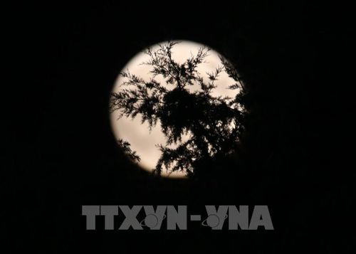 Hiện tượng Trăng xanh nhìn từ Nicosia, CH Cyprus tối 30/8/2023. Ảnh: THX/TTXVN