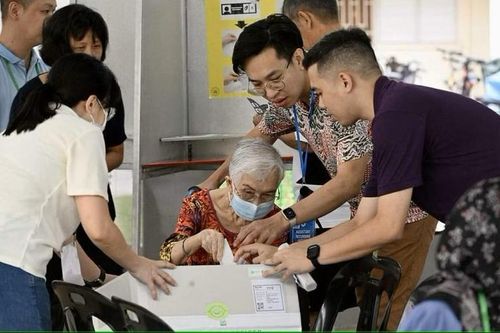 Một cử tri cao tuổi được hỗ trợ bỏ phiếu. Ảnh: Straits Times