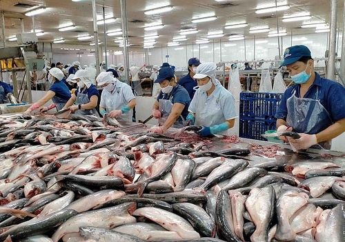 8 tháng đầu năm 2023, thủy sản 5,68 tỷ USD, giảm 25,4%