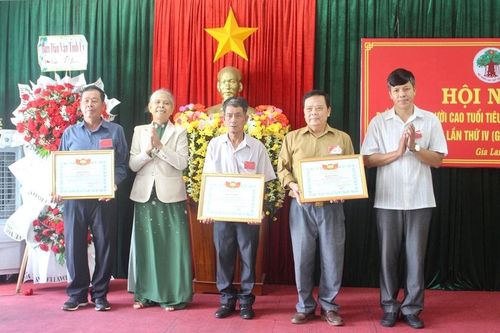 Các cá nhân được nhận bằng khen của Chủ tịch Ủy ban MTTQ Việt Nam tỉnh Gia Lai vì có thành tích trong phong trào người cao tuổi làm kinh tế giỏi. Ảnh: Minh Nhật