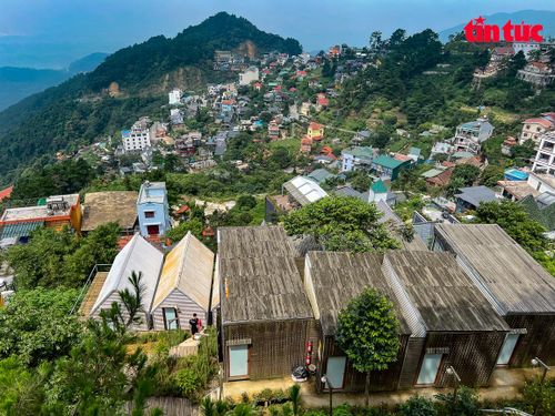 Cây xanh trên triền núi giờ nhường chỗ cho hàng loạt homestay.