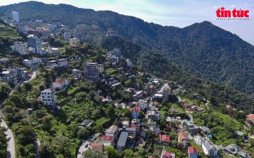 Đất rừng đang bị thu hẹp, trong khi "bê tông hóa" cứ ngày một lớn dần.