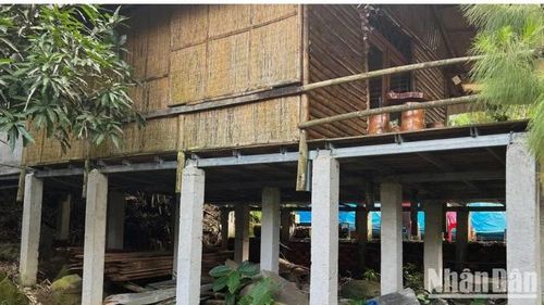Các mô hình xây dựng loại hình lưu trú homestay đều trái phép.