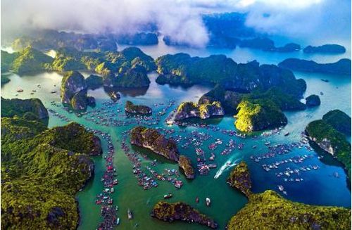  Vẻ đẹp làng chài Cái Bèo nhìn từ trên cao. Nguồn: Catba.com.vn