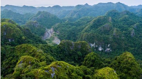 Vườn quốc gia Cát Bà là điểm đến được nhiều người yêu thích. Nguồn: Vietgoing. 