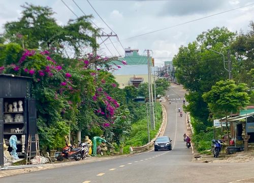 Với chiều dài khoảng 1,4 km, đường Phù Đổng như một chiếc võng nối hai đầu sầm uất là đường Nguyễn Tất Thành và đường Cách Mạng Tháng Tám.