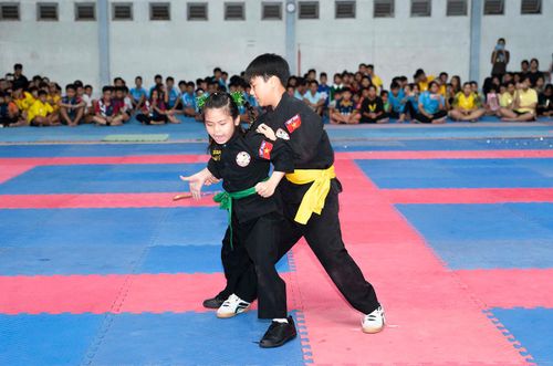 Biểu diễn võ thuật tại đêm hội