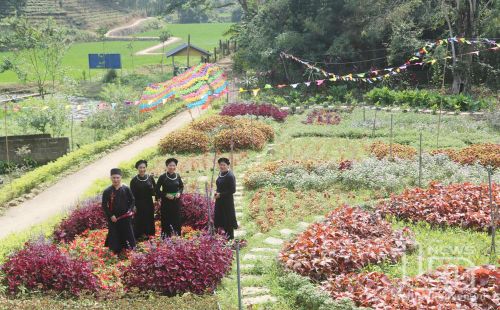 Điểm du lịch cộng đồng tại xã Phú Đình (Định Hóa) thu hút nhiều du khách.
