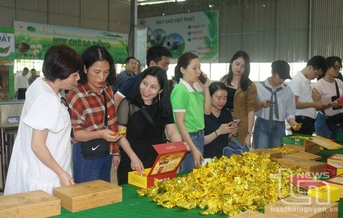Đoàn Famtrip khảo sát điểm đến do Sở Văn hóa, Thể thao và Du lịch Thái Nguyên tổ chức chia sẻ kinh nghiệm xây dựng sản phẩm du lịch tại Hợp tác xã Chè La Bằng (Đại Từ).