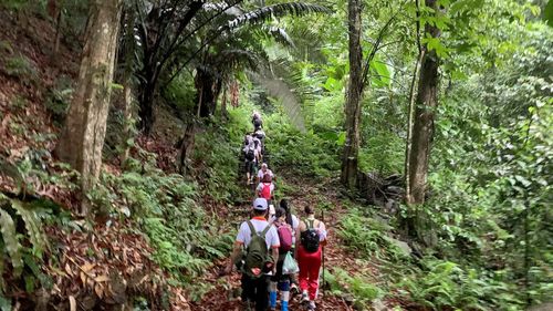 Tuyến trekking mới khám phá sườn đông Tam Đảo. Ảnh: Linh Tâm