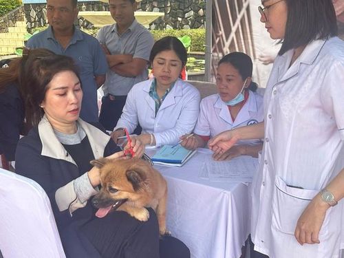 Người dân được cấp sổ tiêm và và tư vấn về các biện pháp phòng, chống bệnh dại.