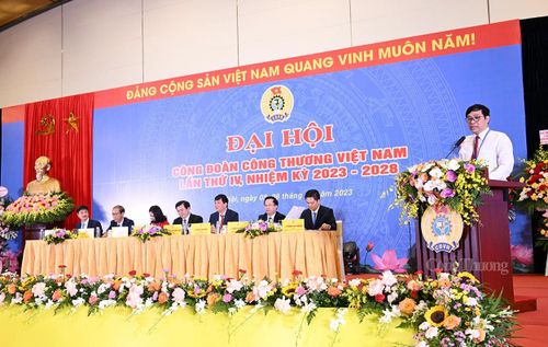 Ông Lê Việt Long - Chánh Thanh tra Bộ Công Thương trình bày Báo cáo thẩm tra tư cách đại biểu
