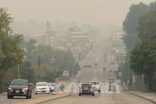 Miền Đông Canada ghi nhận nhiệt độ mùa thu cao kỷ lục. Ảnh: AFP/TTXVN