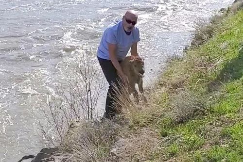 Nhiều du khách không tuân thủ quy định, tự ý can thiệp vào cuộc sống tự nhiên và gây hậu quả khôn lường. Ảnh: Nps.gov