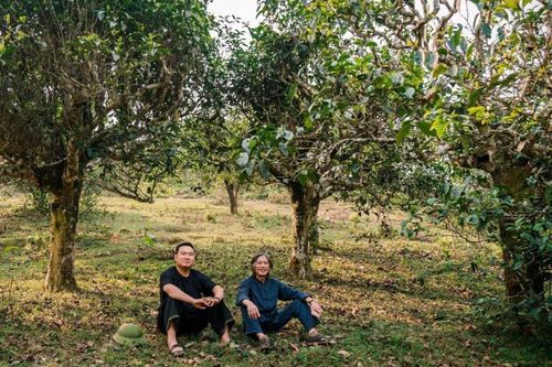 Anh Tủa hướng dẫn nhiều nông dân bán nông sản qua mạng xã hội. Ảnh: PV. 