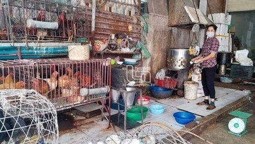Một cơ sở kinh doanh, giết mổ gia cầm nhỏ lẻ trên đường Bến Oánh (TP. Thái Nguyên).