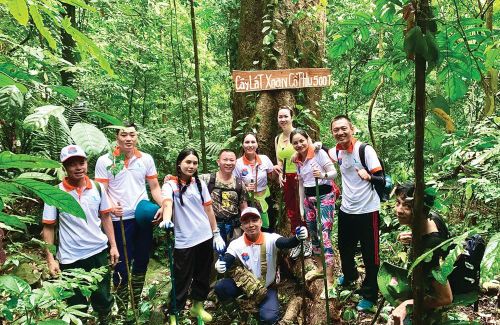 Du khách trekking và chụp ảnh bên cây lát xoan cổ thụ 500 tuổi.
