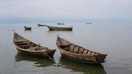 Tai nạn đường sông thường xuyên xảy ra ở Congo. Ảnh minh họa: TRT