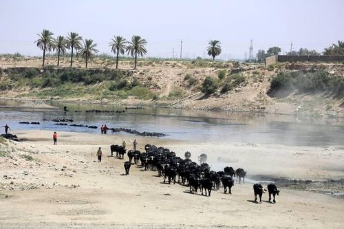 Khu vực sông Diyala ở Iraq những năm gần đây có lượng mưa thấp và nhiệt độ cao. (Ảnh: EPA)