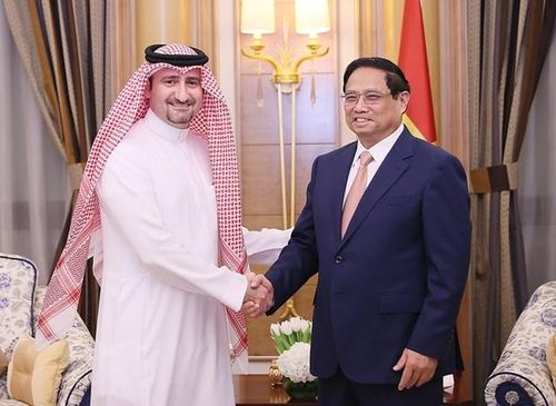 Thủ tướng Phạm Minh Chính tiếp tiến sỹ Ali Al Khatib, Phó Giám đốc điều hành, Đầu tư &amp; Danh mục đầu tư Tập đoàn Ajlan&amp;Bros Holding. (Ảnh: Dương Giang/TTXVN)