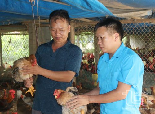 Từ mô hình chăn nuôi trang trại, gia đình ông Vũ Văn Quang (bên trái), xóm Bờ Suối, xã Nam Hòa (Đồng Hỷ) đạt thu nhập gần 1 tỷ đồng/năm.