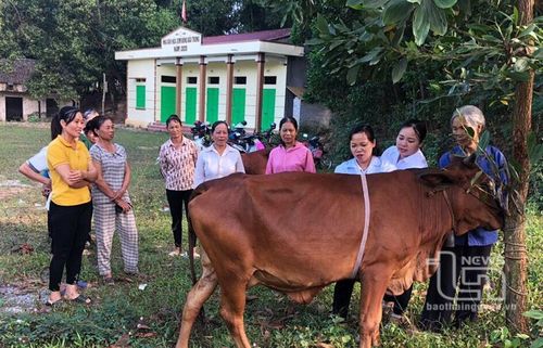 Hướng dẫn kỹ thuật đo bò cho học viên tại lớp học nghề nuôi và phòng trị bệnh cho trâu, bò được tổ chức tại xã Tân Thành (Phú Bình).