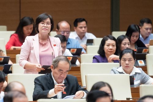 ĐBQH Nguyễn Thị Hồng Hạnh.