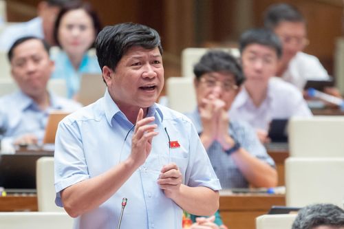 Đại biểu Tạ Văn Hạ (Đoàn Quảng Nam).
