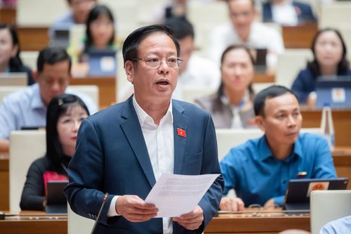 Đại biểu Nguyễn Trường Giang (Đoàn Đắk Nông).