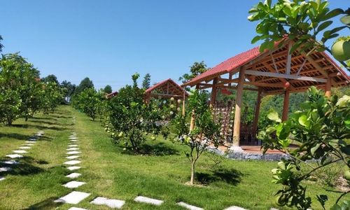 Vườn cây ăn trái tại Điểm du lịch đối với Khu du lịch sinh thái trải nghiệm YASMIN FARM.