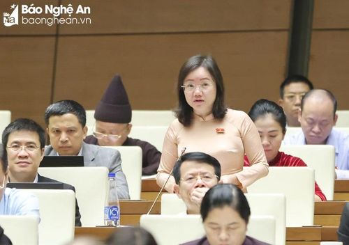  Đại biểu Thái Thị An Chung - Ủy viên Ban Chấp hành Đảng bộ tỉnh, Phó Trưởng đoàn chuyên trách Đoàn ĐBQH Nghệ An phát biểu thảo luận. Ảnh: Nam An 