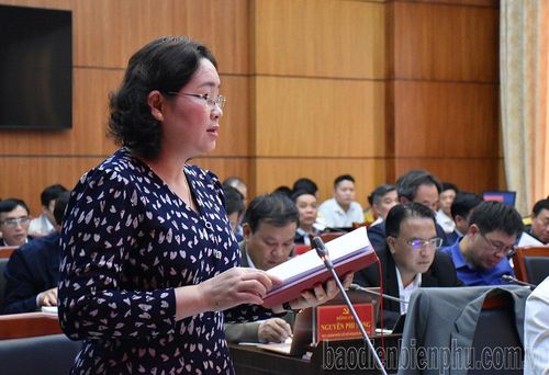 Đồng chí Lò Thị Luyến, Phó trưởng đoàn chuyên trách Đoàn Đại biểu Quốc hội tỉnh tham gia ý kiến tại hội nghị.