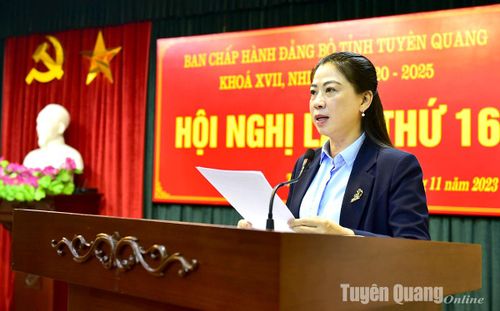 Đồng chí Lê Thị Kim Dung, Phó Bí thư Thường trực Tỉnh ủy, Chủ tịch HĐND tỉnh trình bày Dự thảo báo cáo.