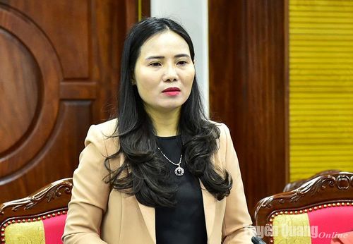 Giám đốc Sở Văn hóa, Thể thao và Du lịch Âu Thị Mai phát biểu ý kiến thảo luận.