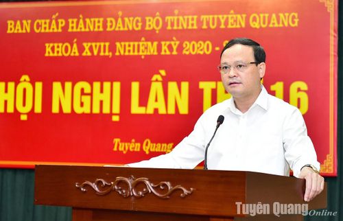 Đồng chí Phó Chủ tịch UBND tỉnh Nguyễn Mạnh Tuấn phát biểu tại Hội nghị.