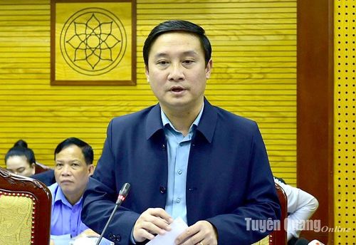 Giám đốc Sở Công Thương Hoàng Anh Cương phát biểu ý kiến thảo luận.