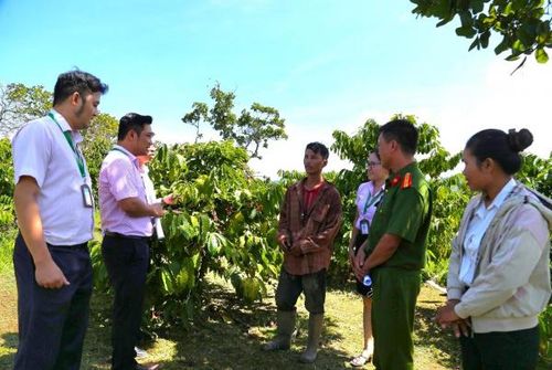 Người chấp hành xong án phạt tù được vay vốn tín dụng chính sách từ Ngân hàng Chính sách xã hội lên đến 100 triệu đồng/người.