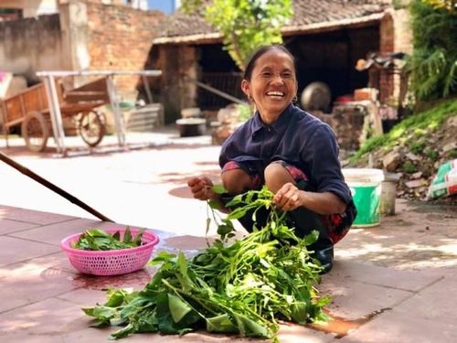 Bà Tân hiện tại không còn sản xuất nhiều clip như trước, người phụ nữ U60 vẫn làm công việc đồng áng, chăn nuôi