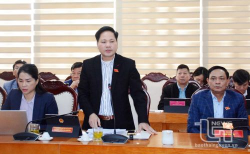 Đại biểu thảo luận tại Tổ 3.