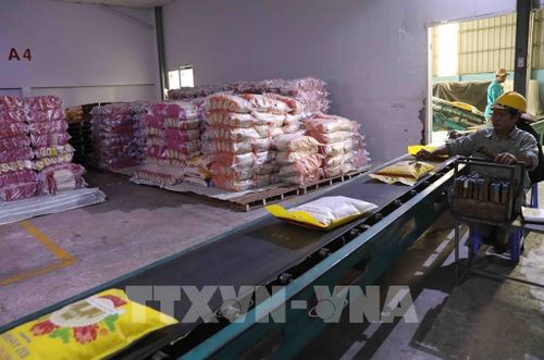 Vận chuyển gạo xuất khẩu tại nhà máy chế biến gạo - Công ty TNHH MTV Lương thực Thoại Sơn (Tập đoàn Lộc Trời). Ảnh: Phạm Hậu - TTXVN
