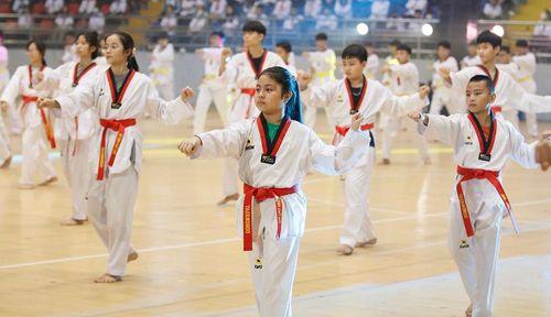 Trình diễn võ thuật tại Hội khỏe Phù Đổng tỉnh lần thứ XIX năm 2023.