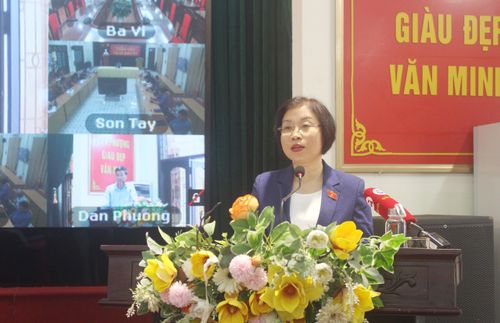 Bà Phạm Thị Thanh Mai phát biểu ý kiến tại buổi tiếp xúc cử tri.