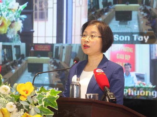 Phó trưởng đoàn chuyên trách Đoàn đại biểu Quốc hội thành phố Hà Nội Phạm Thị Thanh Mai phát biểu tại hội nghị.