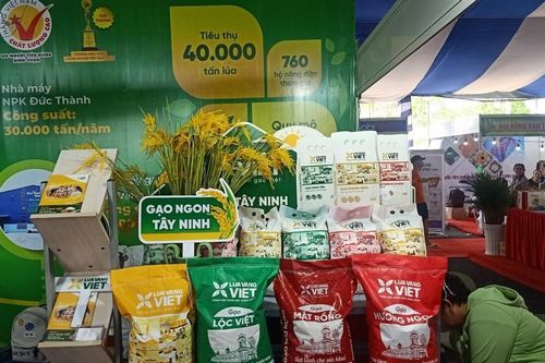 Nhiều loại gạo ngon của các tỉnh, thành phố trưng bày tại sự kiện Festival lúa gạo năm 2023.Quang cảnh
