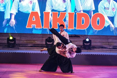 Mãn nhãn với màn biểu diễn kỹ thuật đến từ các võ sinh Aikido