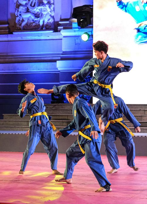 Võ sinh Vovinam biểu diễn mở màn cho liên hoan