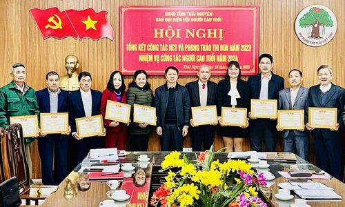 Các tập thể nhận Giấy khen của Ban đại diện Hội Người cao tuổi tỉnh tại Hội nghị.